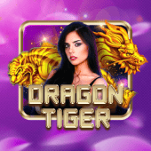 Dragon Tiger jiliko com login